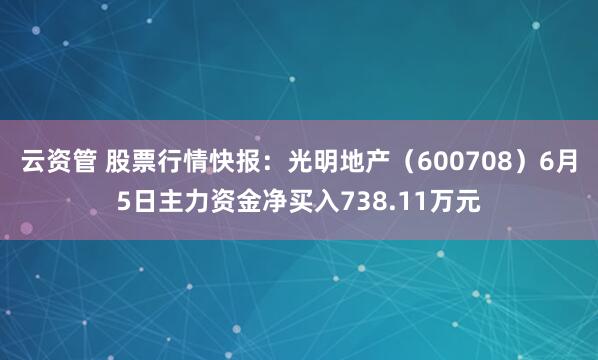 云资管 股票行情快报：光明地产（600708）6月5日主力资金净买入738.11万元