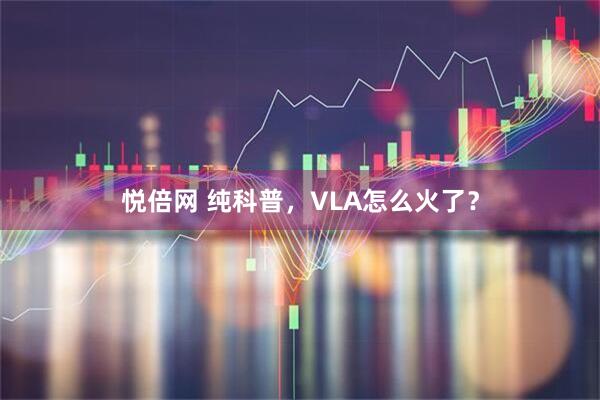 悦倍网 纯科普，VLA怎么火了？