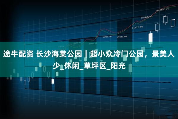 途牛配资 长沙海棠公园｜超小众冷门公园，景美人少_休闲_草坪区_阳光