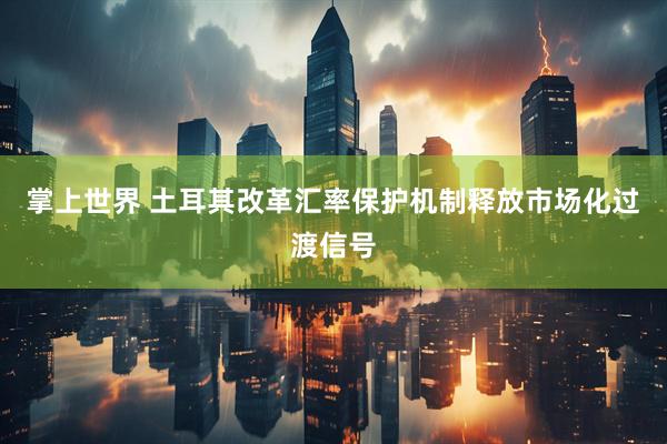掌上世界 土耳其改革汇率保护机制释放市场化过渡信号
