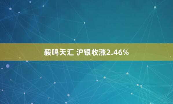 毅鸣天汇 沪银收涨2.46%